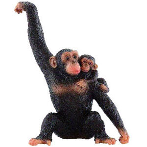 Šimpanzice s mládětem